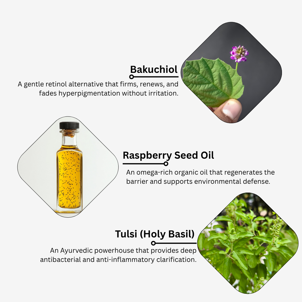 Bakuchiol Serum