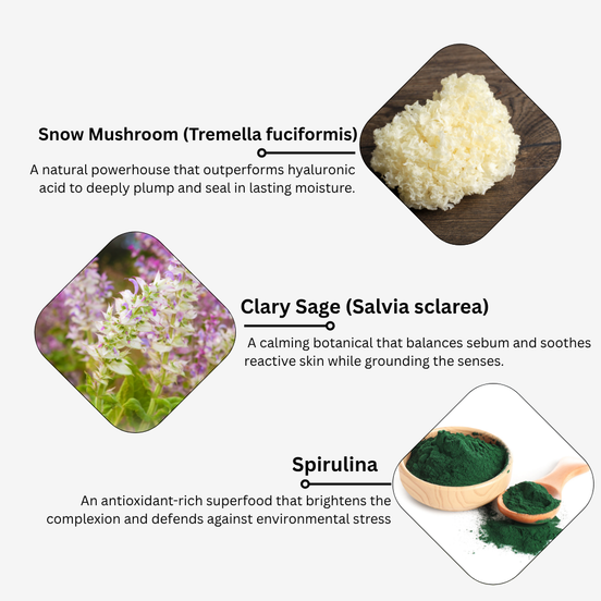 Snow Mushroom & Clary Sage Botanical Clay Mask